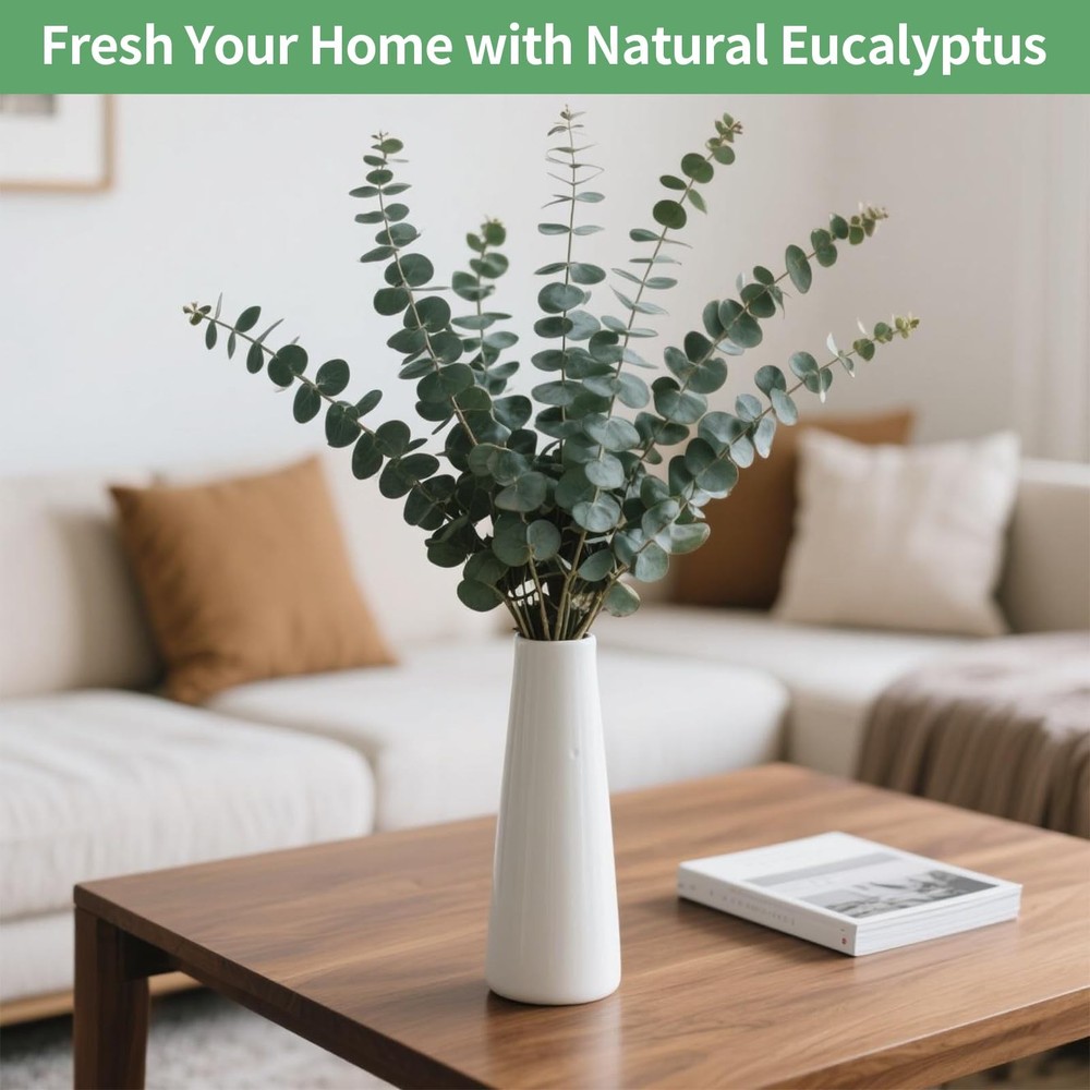12PCS Dried Eucalyptus Bundle 17'' Real Eucalyptus Stems 100% Natural Fresh L...
