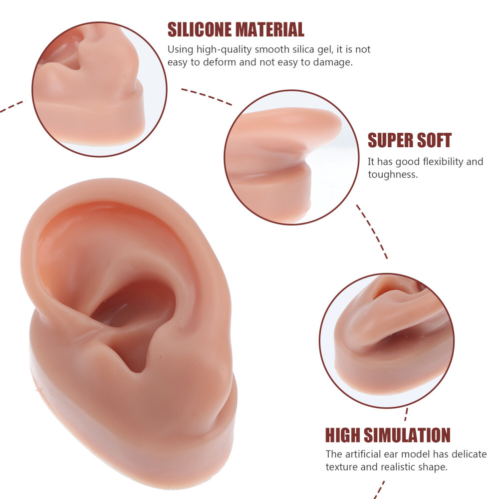 Simulation Human Ear Model ear model for teaching Ear Model Silicone Ears