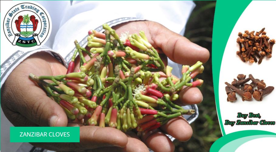 500 Organic Cloves from Zanzibar