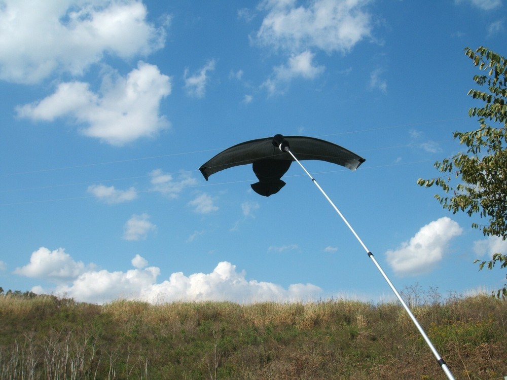 Canada Goose Pole Kite