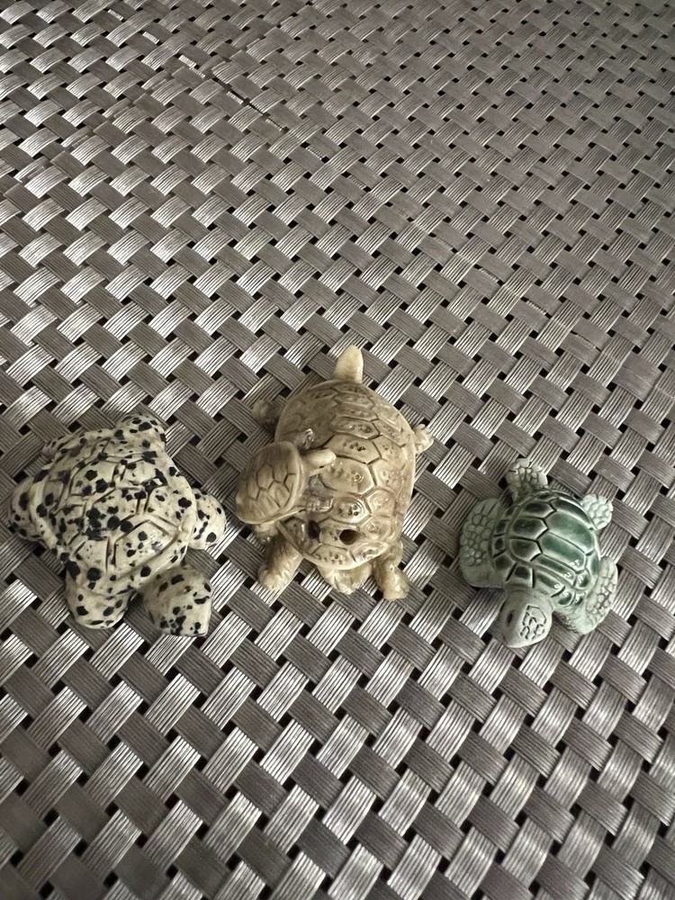 Turtle Collection