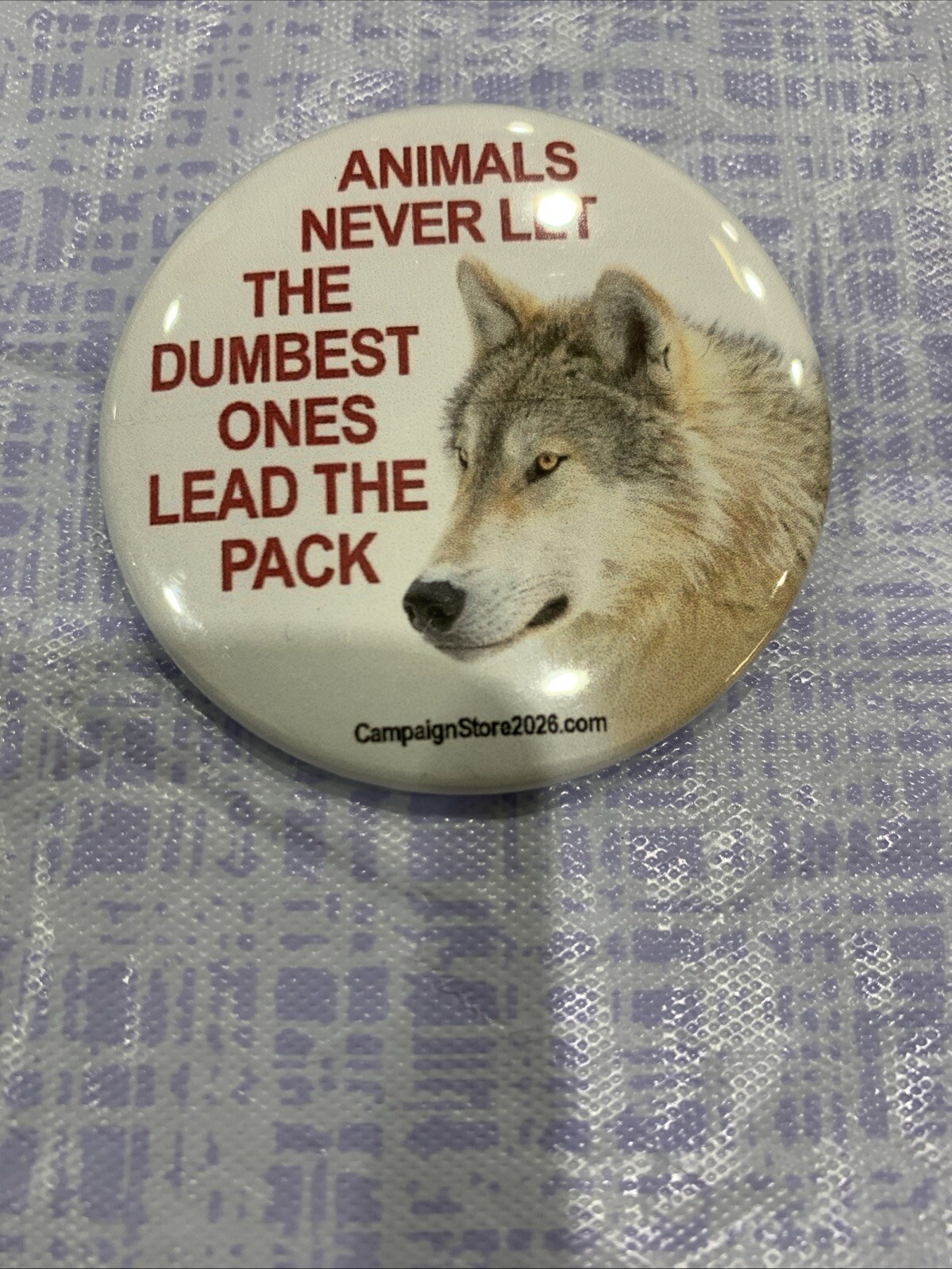 2025 Anti Donald Trump Political Pinback Button 2.25 Inch