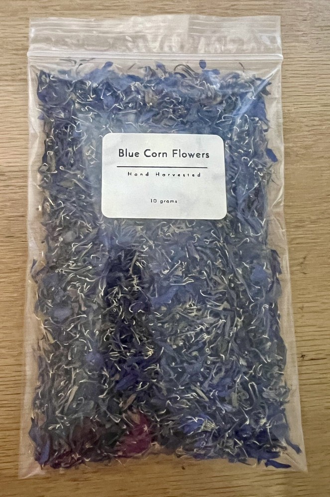 Dried Blue Cornflowers