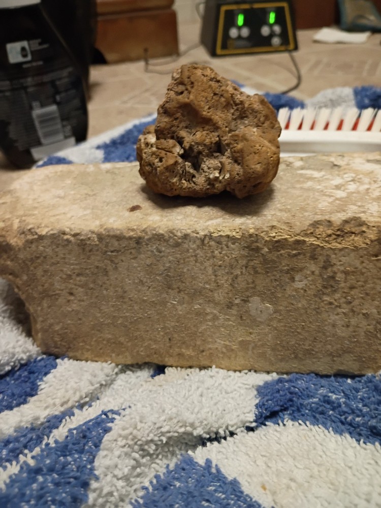 Gold Ore Specimen