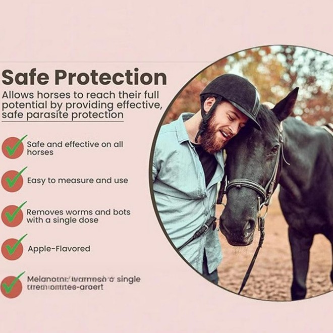 100-Pack Apple Flavored Paste for Horses – Digestive Support,1/2028