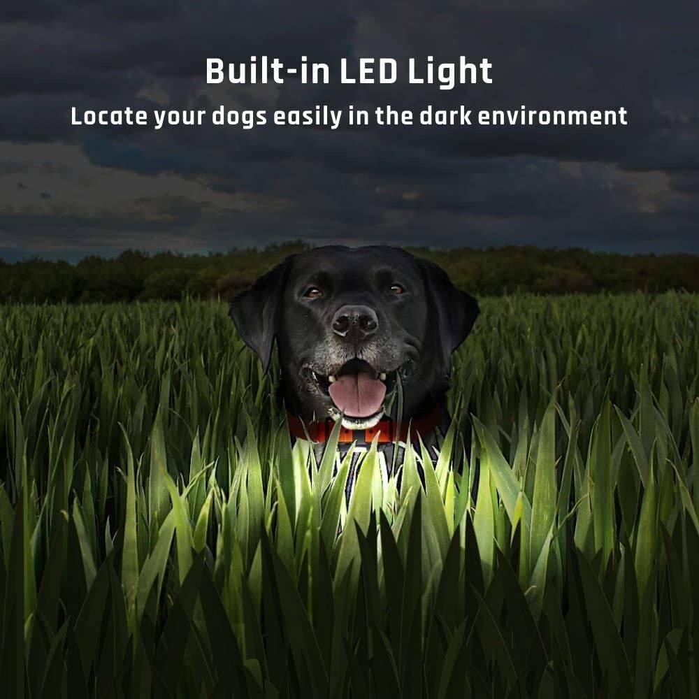 Heaflex 3 Dogs Training Collar Remote E-Shock Safe Training Modes 3-Dog Collar