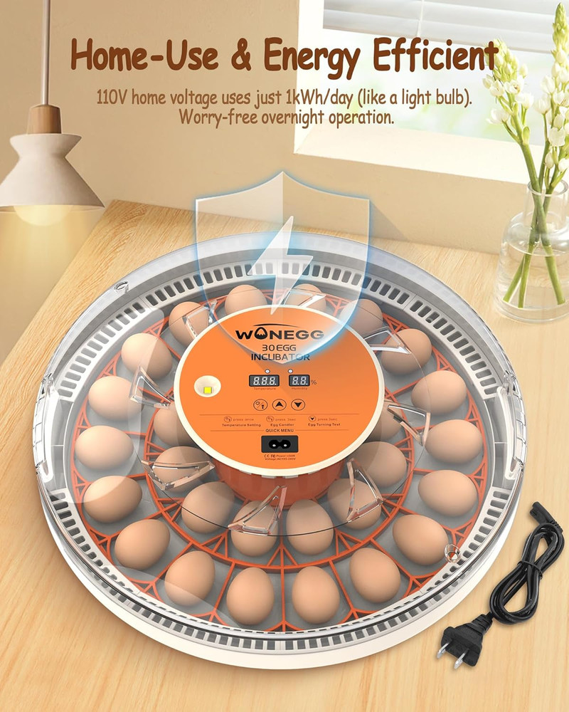 Incubator for Hatching Eggs, 30 Eggs Incubator with Automatic Egg Turning, Tempe