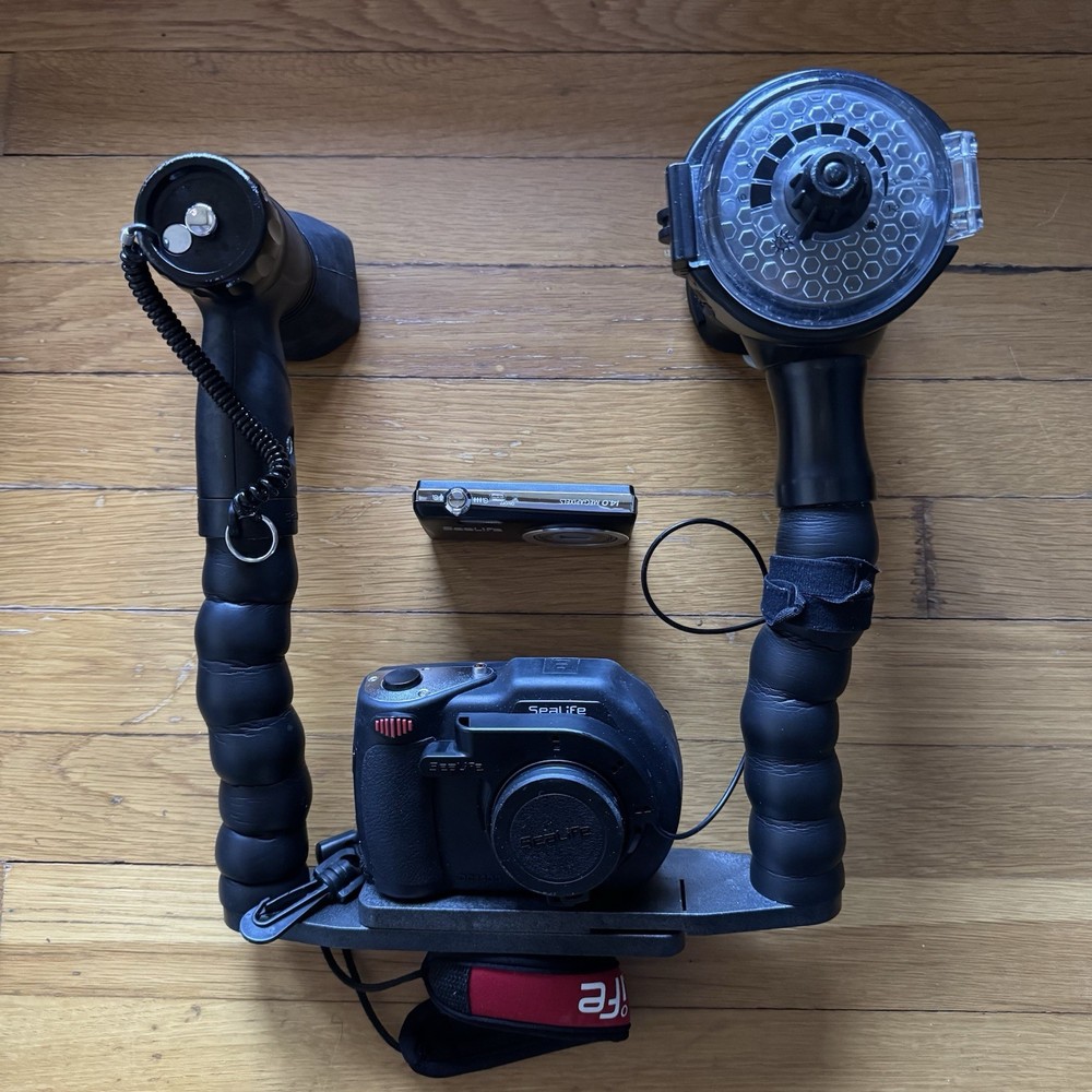 Sealife DC1400 HD Digital Underwater Camera Bundle With Lights