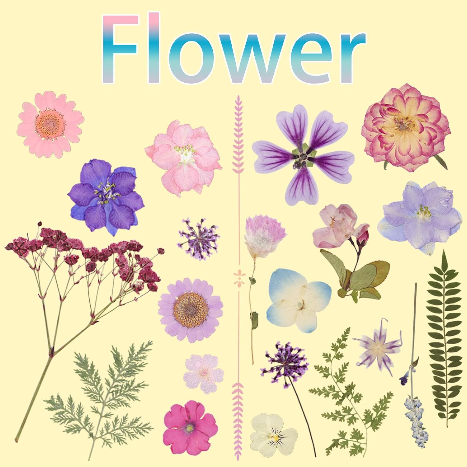 50Pcs Dried Pressed Flowers Resin Mould Real Pressed Flowers Natural Dry Leaves