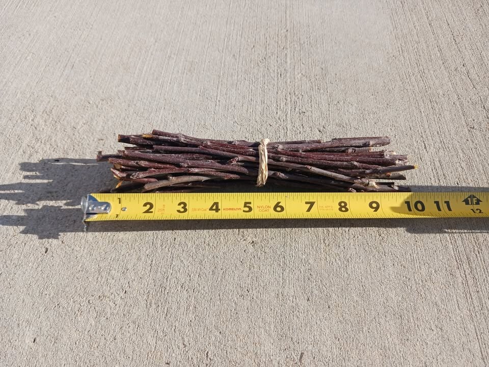 Apple Stick Chews for Small Animals