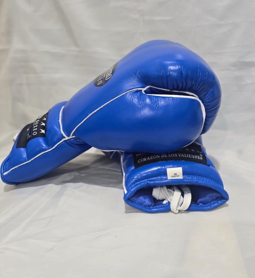 Maestro Boxeo
