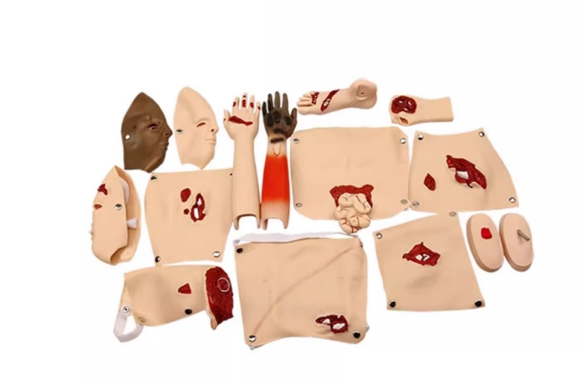 16Pc Trauma Evaluation Module First Aid Simulation Training Model Emergency Care