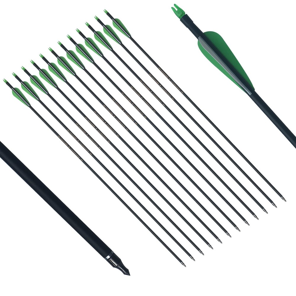 12pcs 30'' Fiberglass Practice Target Archery Arrows with Replaceable Arrowheads