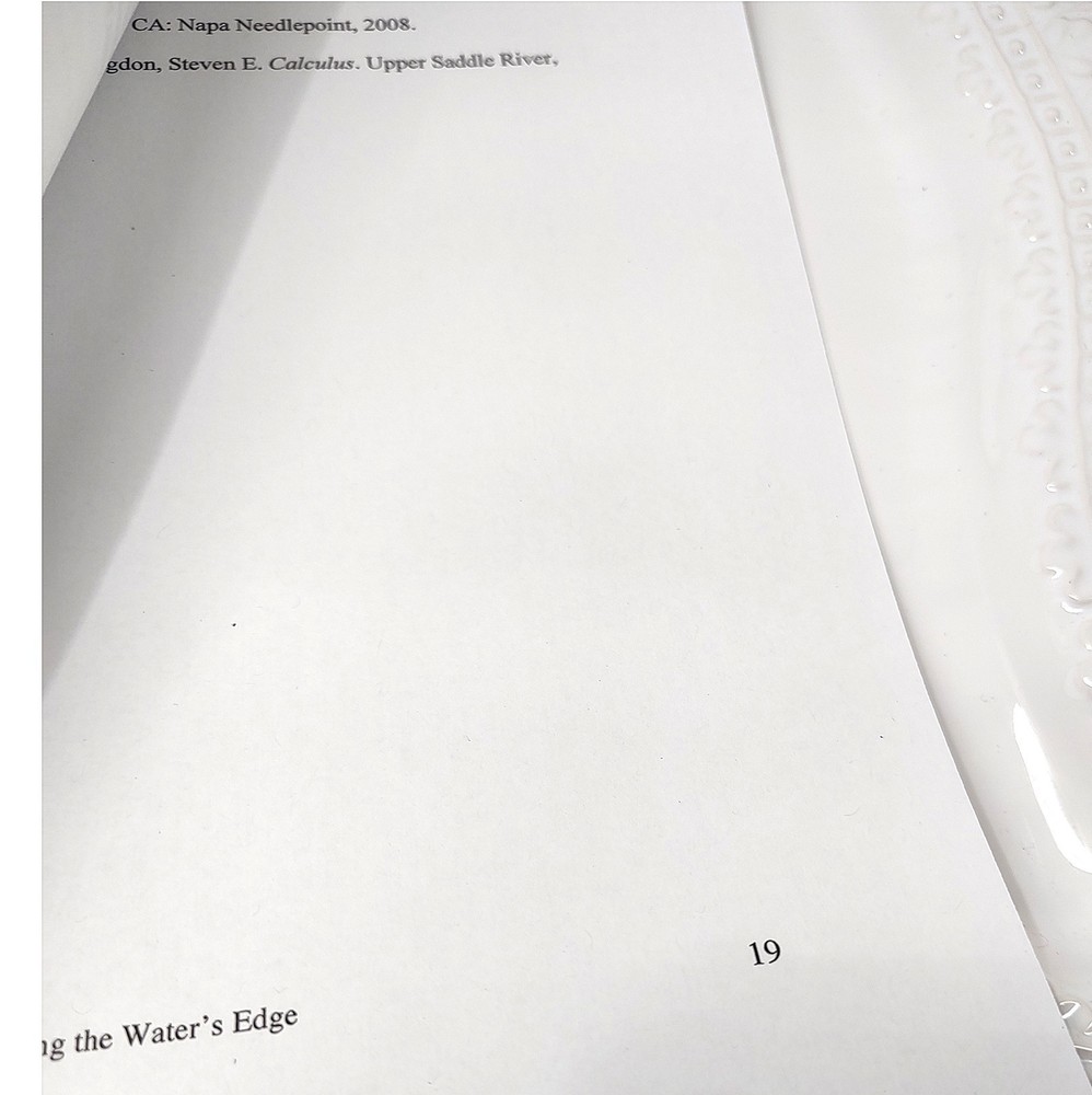 Diane Herrmann Needlepoint Pattern Walking Water’s Edge + RETIRED Class Lessons