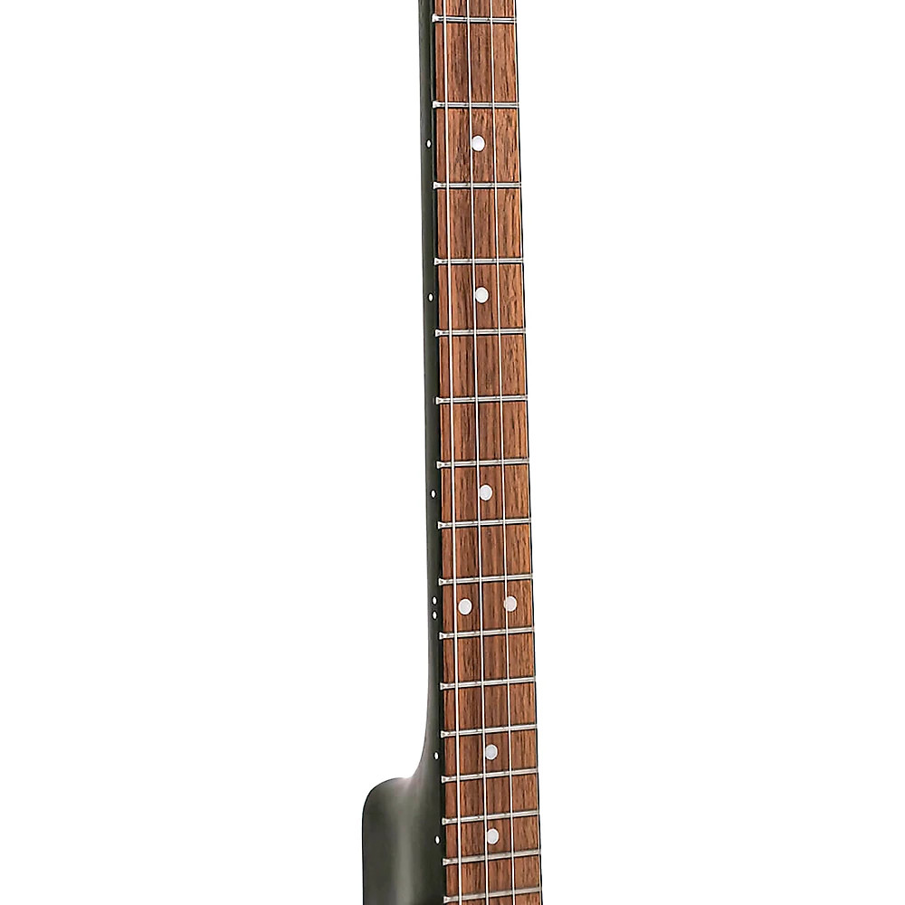 Gold Tone AC-4 Composite 4-String Openback Tenor Banjo