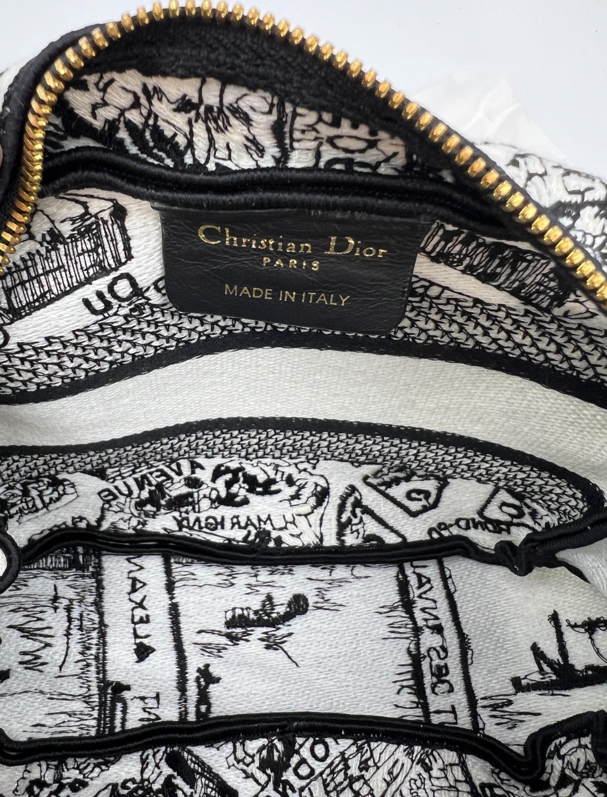 New! Christian Dior Plan De Paris Canvas Embroidered Cosmetic Bag