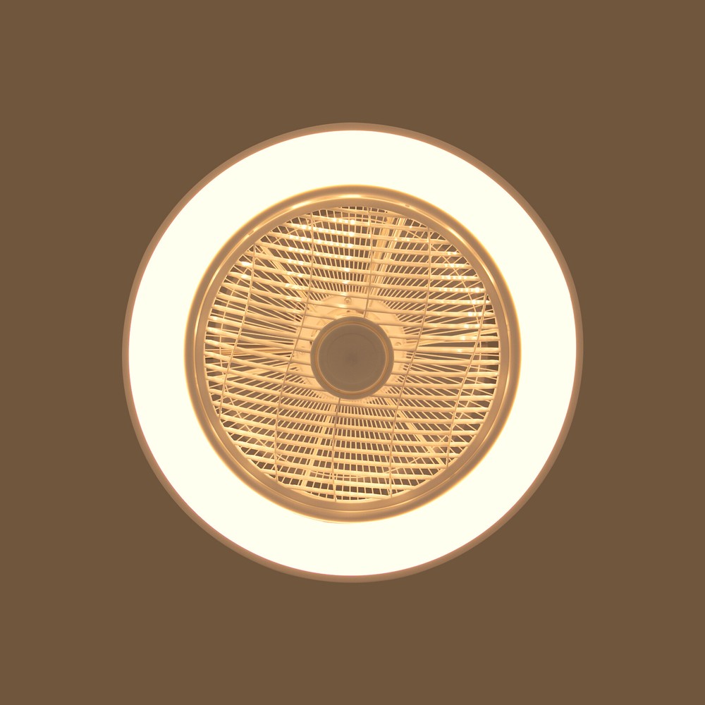 22" Ultra-thin LED Ceiling Fan Light Remote Control Flush Mount Ceiling Fan Lamp