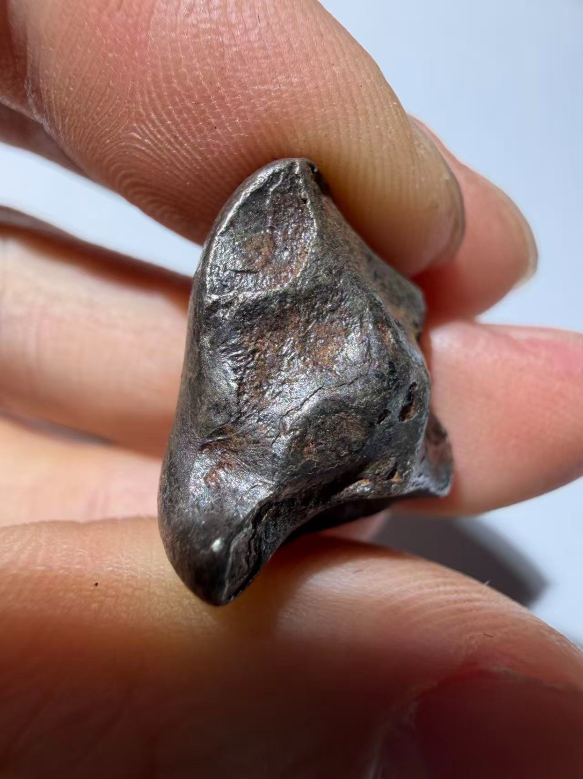 Sikhote-Alin Iron Meteorite 12g Very nice regularly shaped orientation