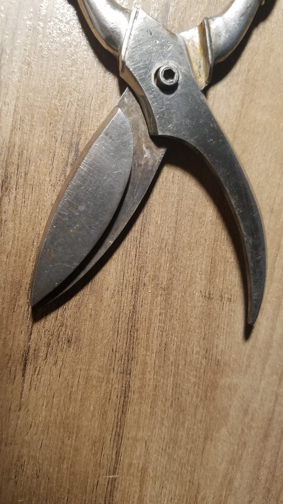 Germany-VTG Sterling Handled Shears-Curved Blade