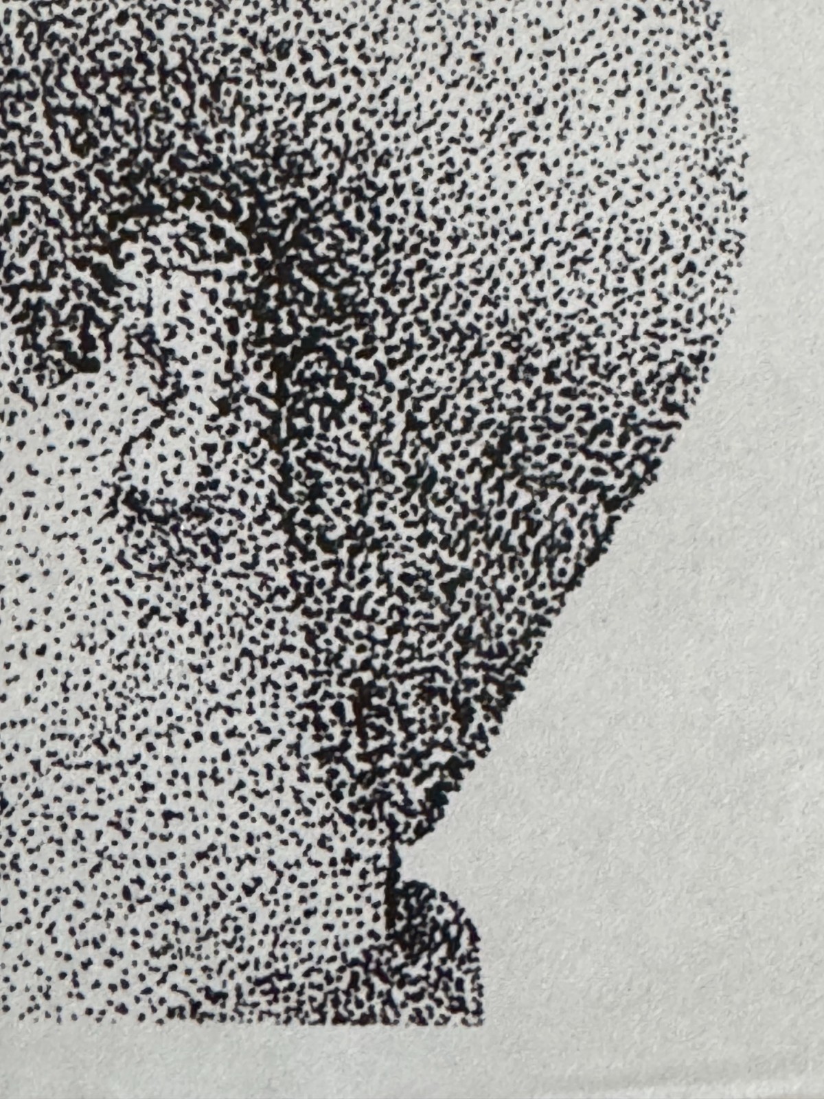Original Pointillism Young African-American Woman Pen Portrait Drawing 8.5"x11"