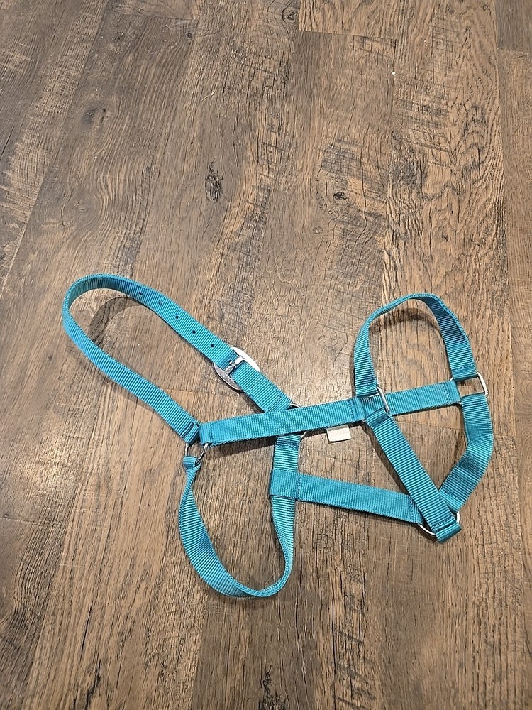 Horse Halter