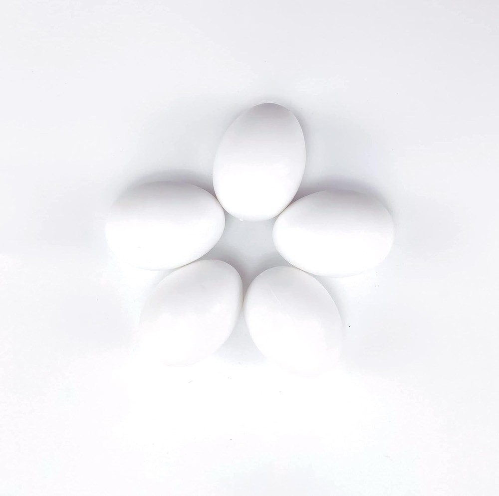 10 Pieces Pigeon Eggs Solid Plastic Eggs for Hatching Help Limit Births Laying P