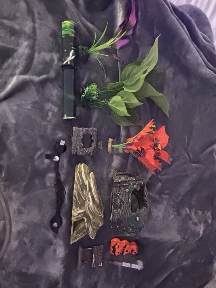 5 Gallon Fish Tank with Accessories
