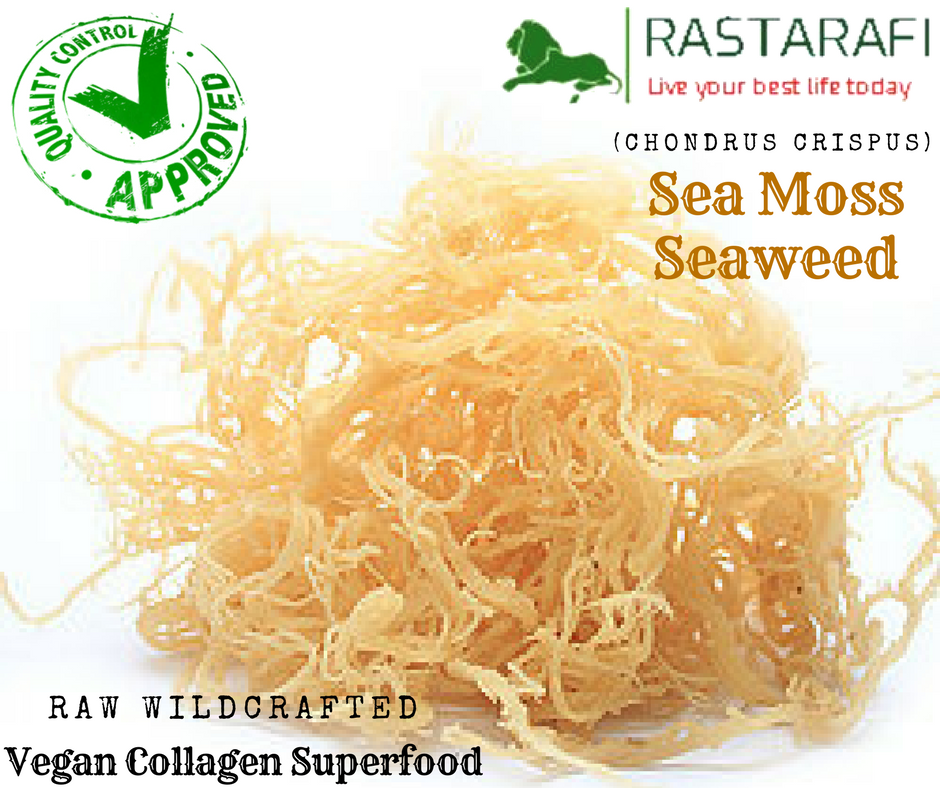 Rastarafi® Sea Moss Gel (Unflavored) Irish Moss | Raw Wildcrafted Superfood Gel