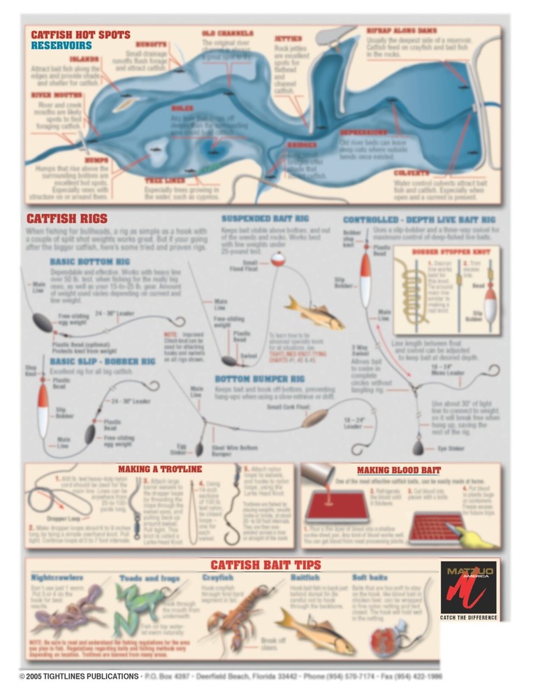 Catfish Fish Identification #13 (Rigs & Strategies) - Waterproof Guide