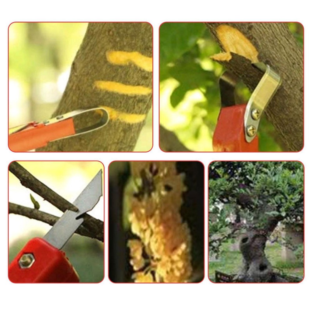 Barks Spud Debarking Tool Barks Barks Peeler