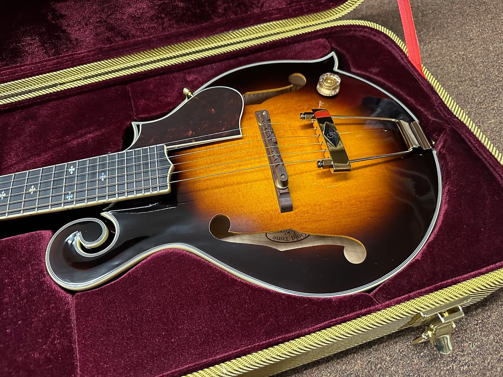 Gold Tone F-6+ F-style 6 String Electric Mandolin Guitar Mando-Guitar New W/Case