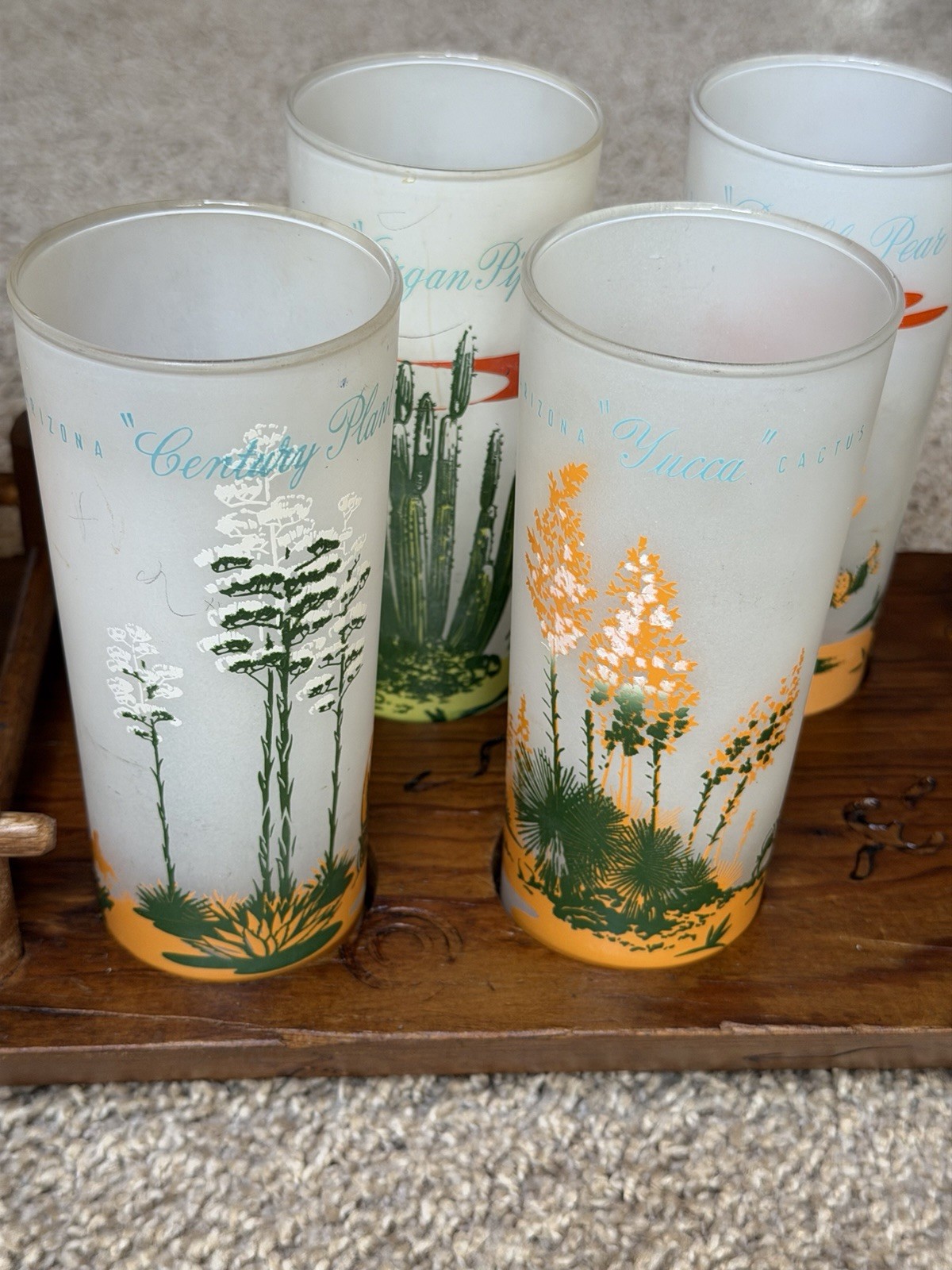 1950’s Vintage Blakely Oil & Gas ~ Arizona Cactus Frosted Glassware With Tray