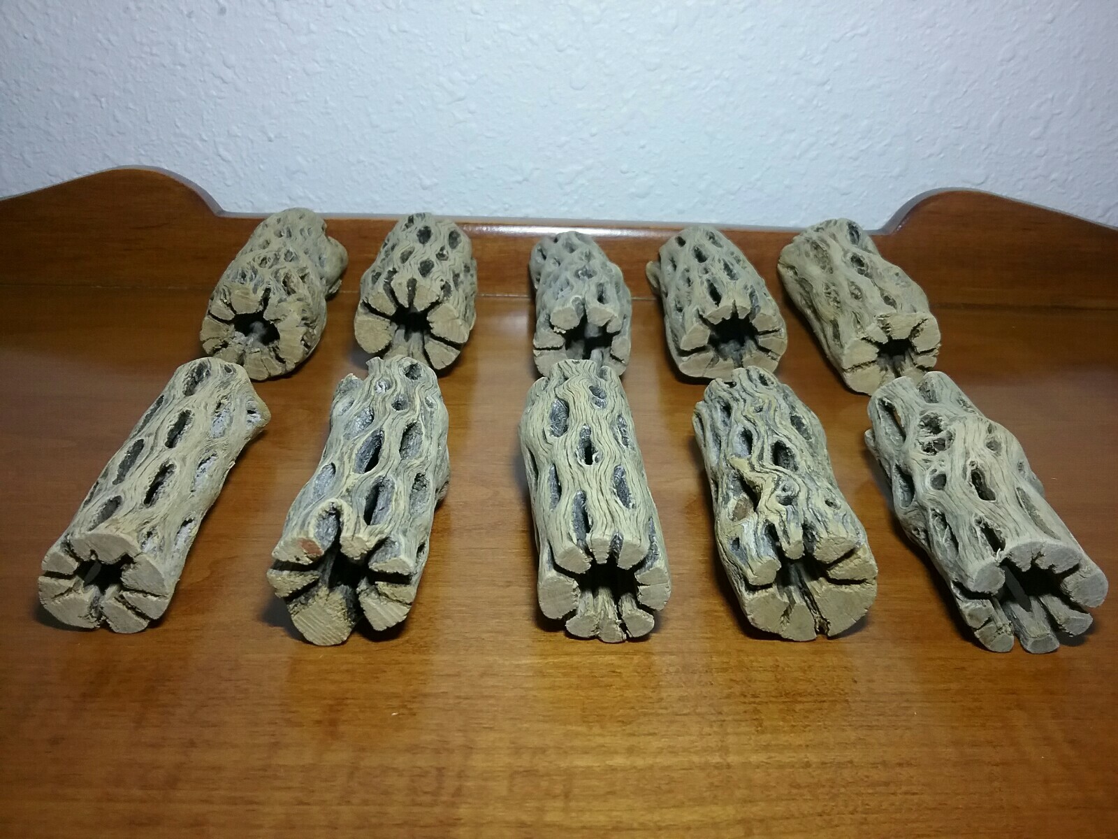 10 pcs CHOLLA Wood 3" L (~1" thick) | Shrimp Aquarium Air Plant | PRE-CLEANED!
