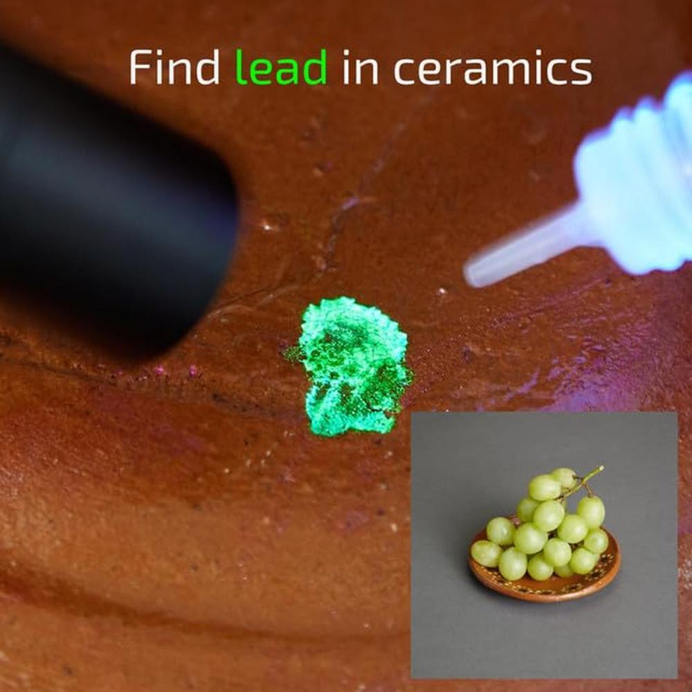 Home Lead Test Kit