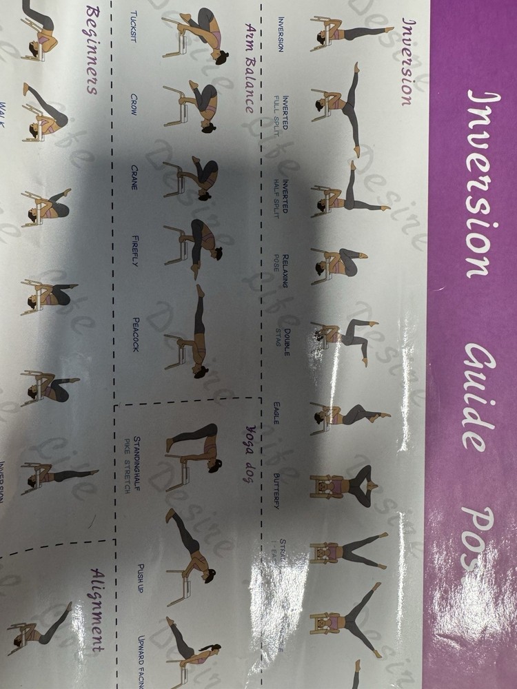 Inversion Guide Poster