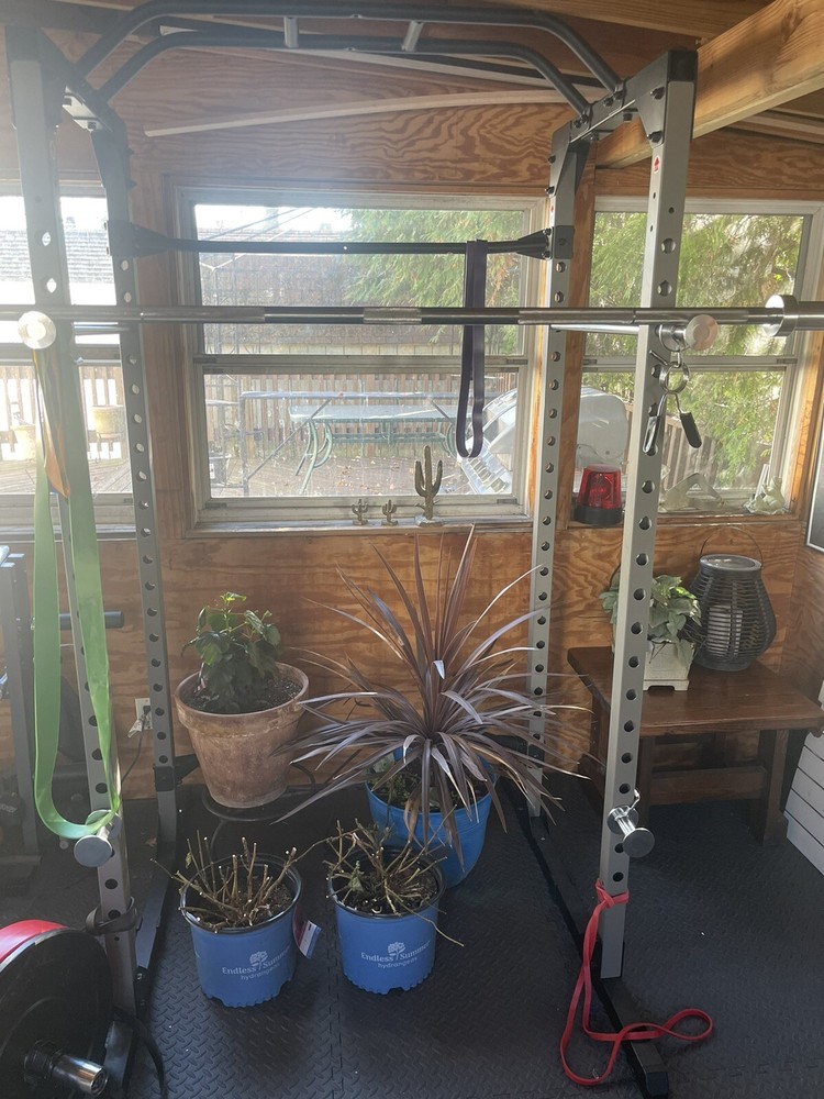 Power Cage With Reverse Pull Up Bars + Barbell (65 )