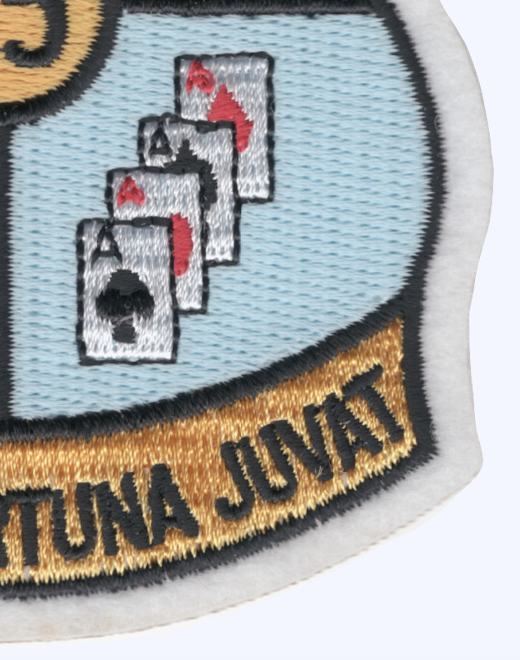 USS Salisbury Sound AV-13 Patch