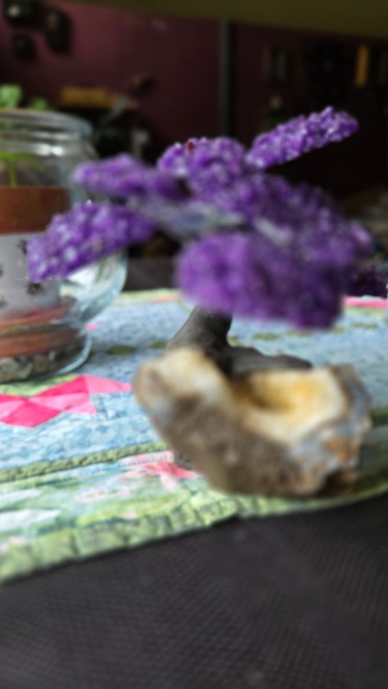 GEMSTONE TREE - AMETHYST AND CITRINE