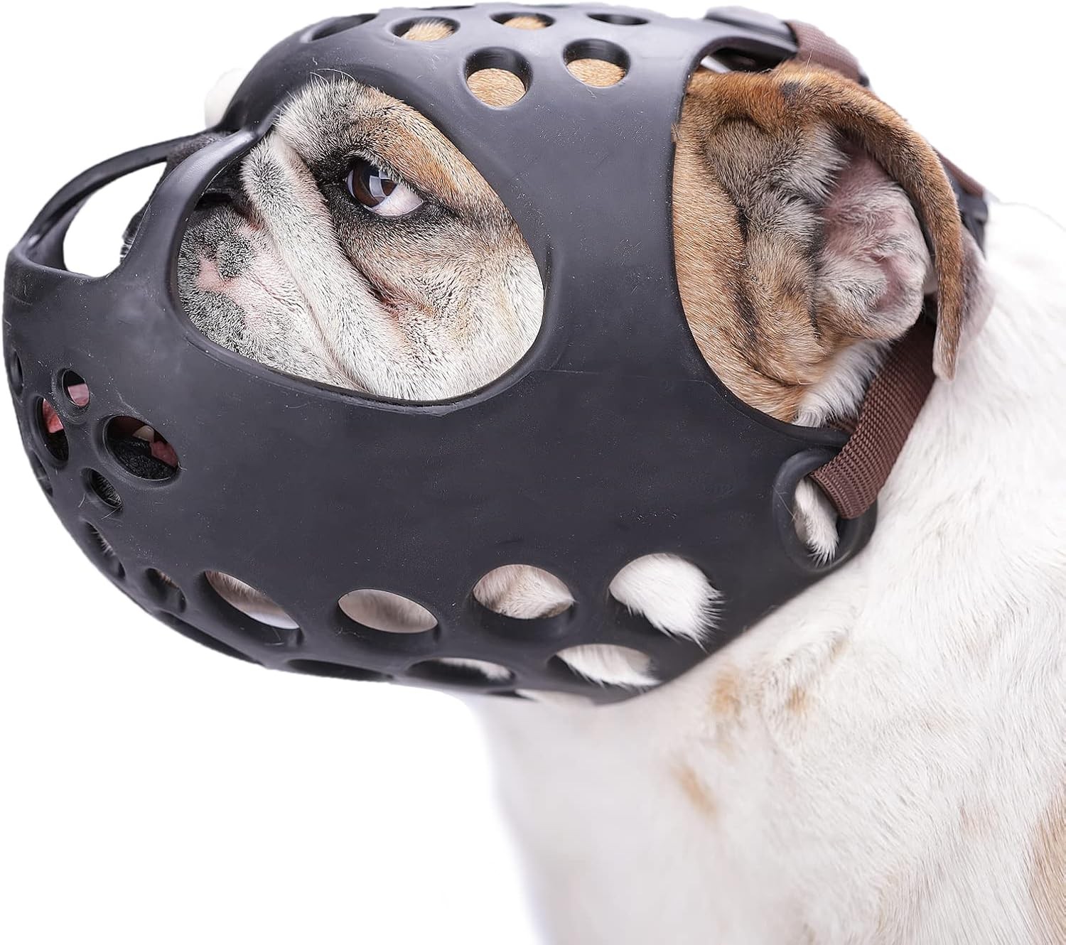 Short-Muzzled Dog Muzzle, Soft English Bulldog Muzzle