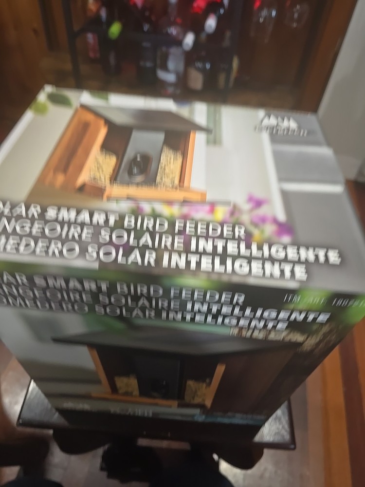 Evergreen Smart Bird Feeder
