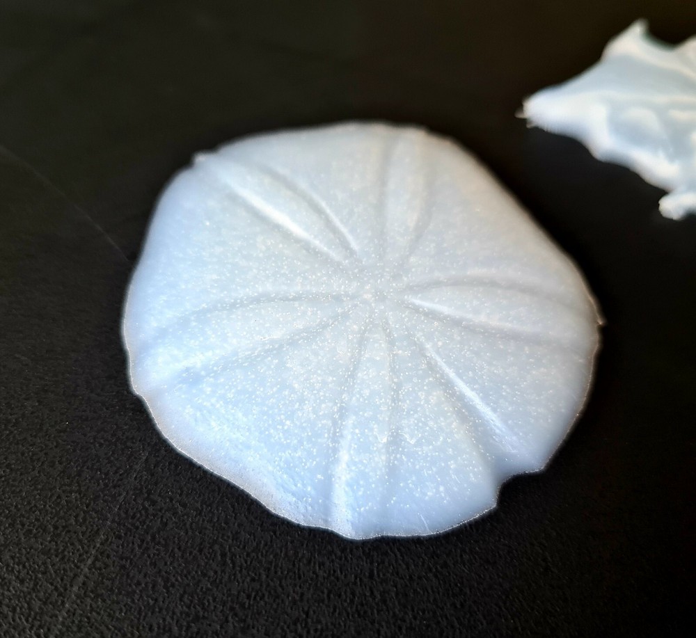 SEASHELL Silicone Inlay Molds AU