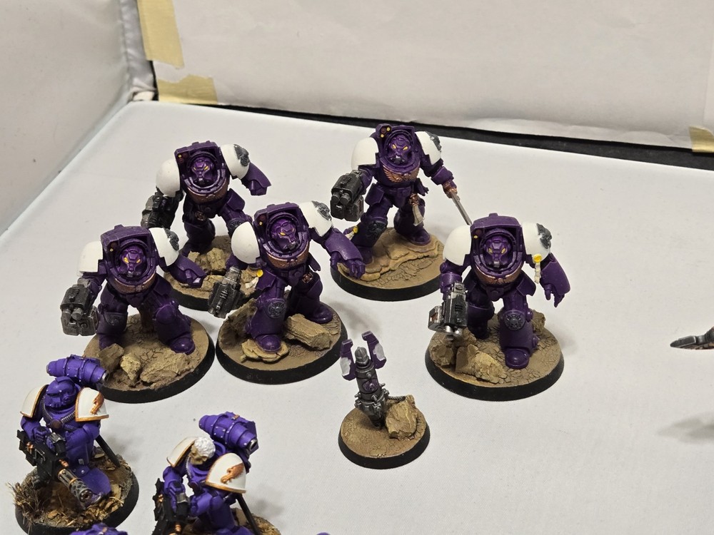 Space Marine Painted Army