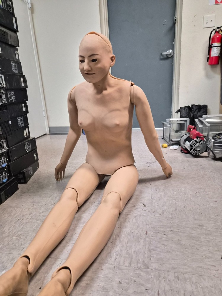 Laerdal Nursing Anne Simulator 320-05050