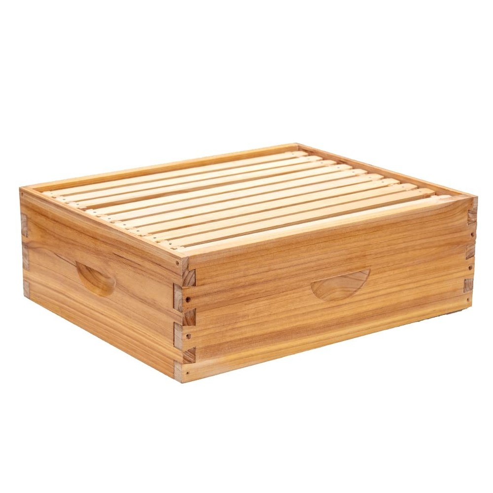 Medium Super Bee Hive Box with Frames and Waxed Foundations for Beginners