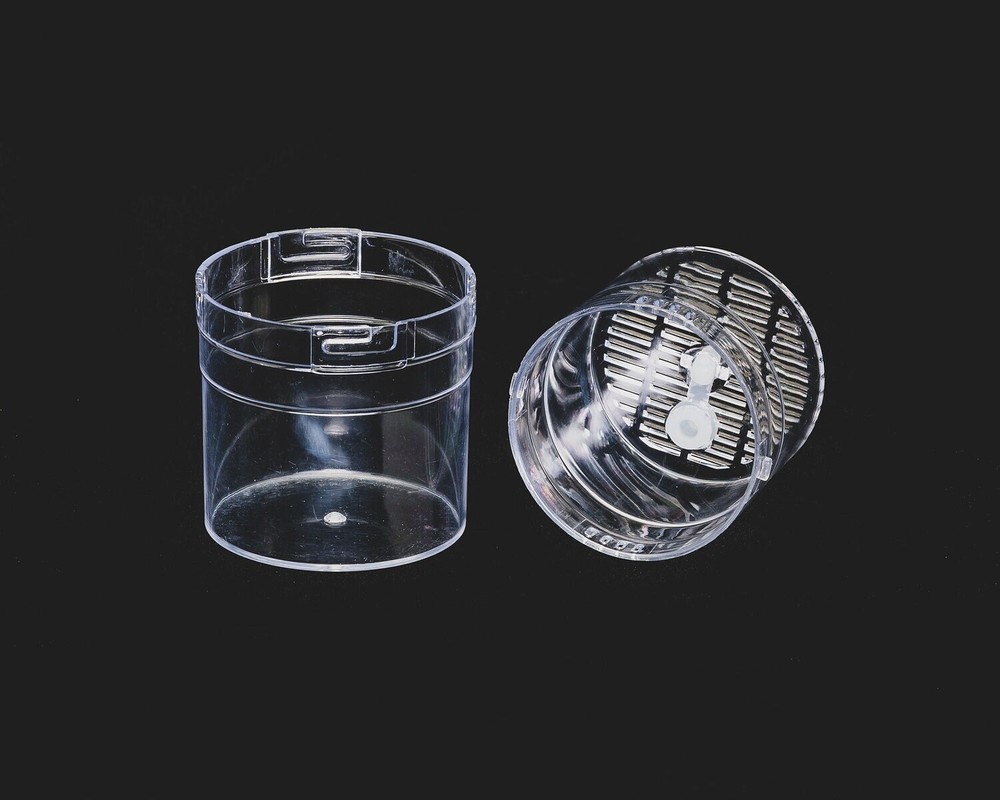 5 Pack Small Arboreal Spiderling Container