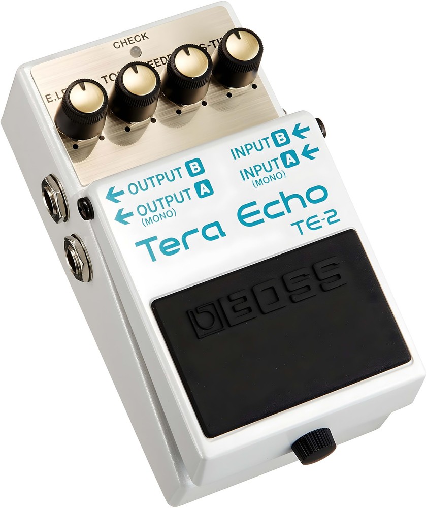 Boss TERA Echo TE-2