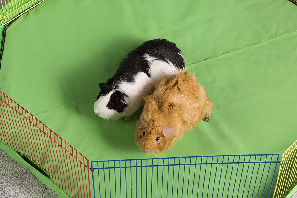 9-Panel 9'' High Multi-Color Plastic Wire Small Pet Playpen
