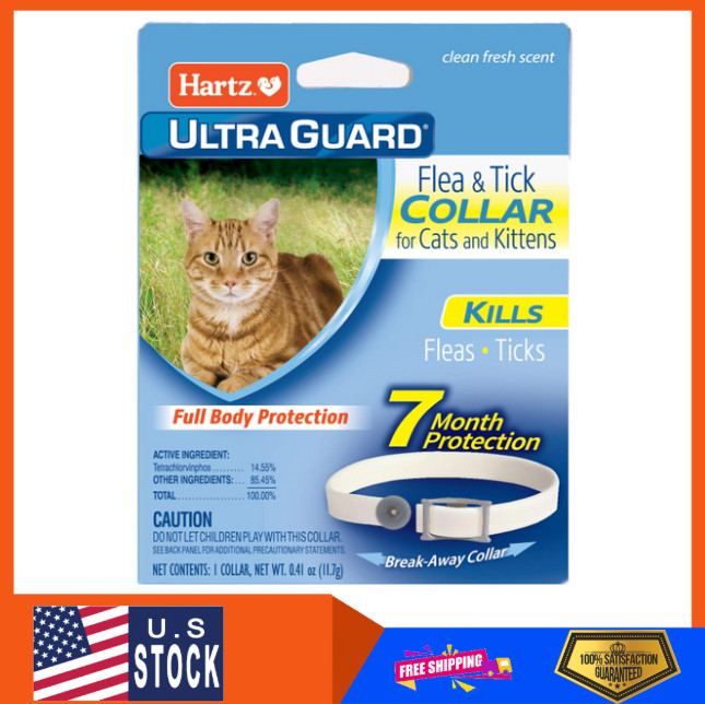 collars for cats and kittens, White