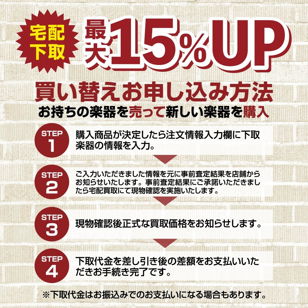 WALRUS AUDIO WAL-FUN/PHA Fundamental Phaser Used