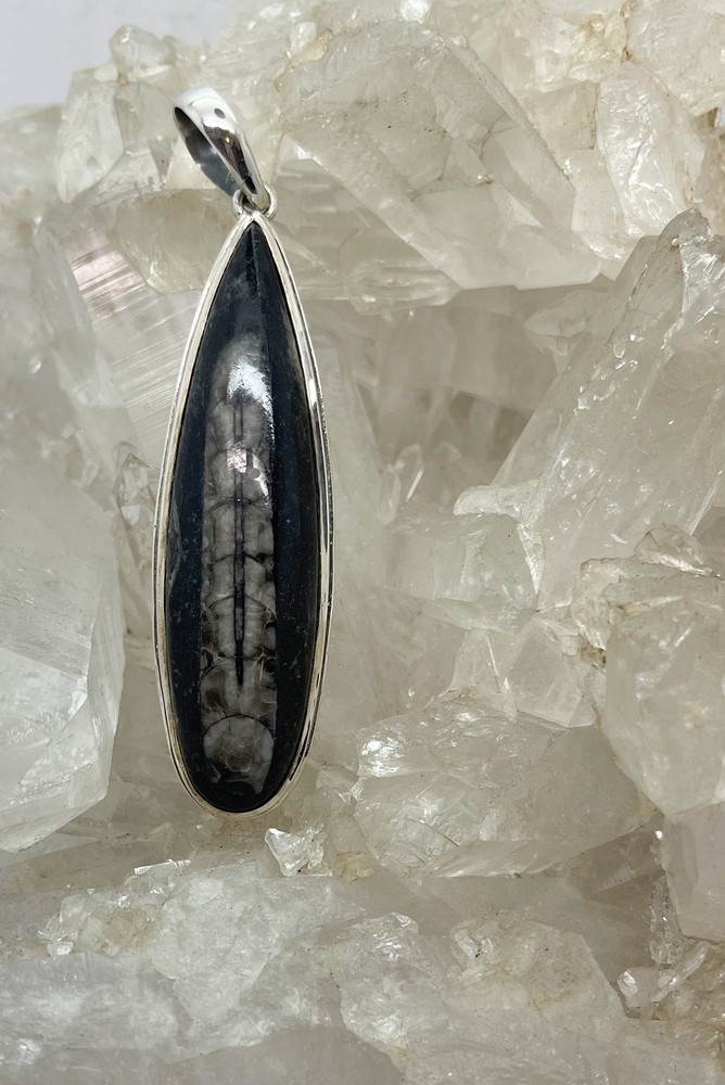Trillobite Pendant $210